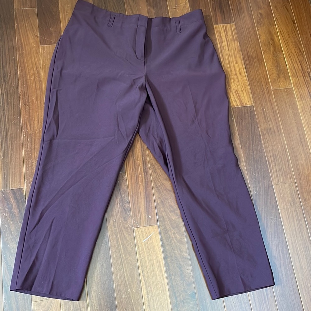 Can Heusen Women’s Pants size 16 Short